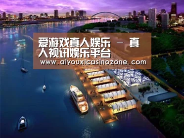 案例展示八