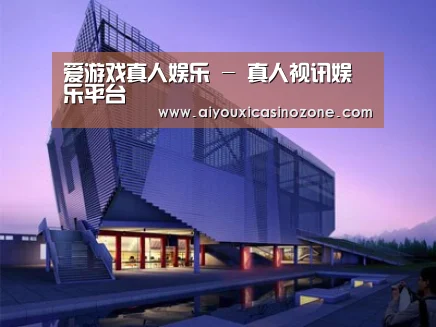 案例展示六