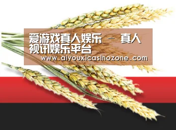 爱游戏真人娱乐 - 真人视讯娱乐平台