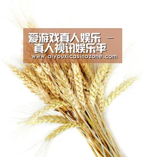 爱游戏真人娱乐 - 真人视讯娱乐平台