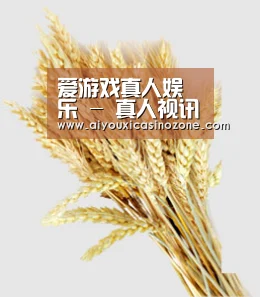 爱游戏真人娱乐 - 真人视讯娱乐平台