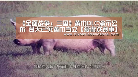 《全面战争:三国》黄巾DLC演示公布 苍天已死黄巾当立【爱游戏赛事】(图1) 爱游戏下载