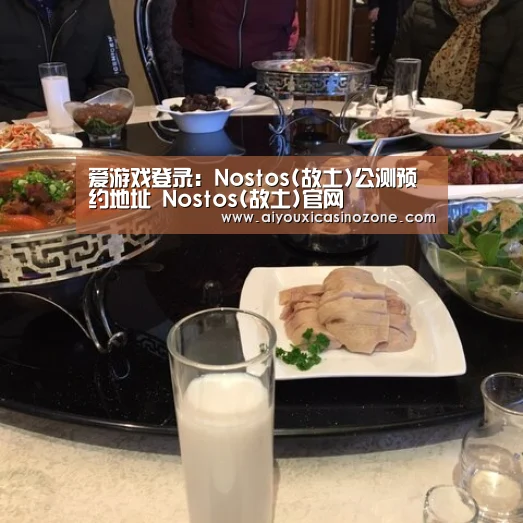 爱游戏登录:Nostos(故土)公测预约地址 Nostos(故土)官网(图3) 爱游戏视讯