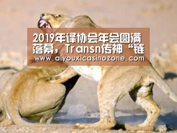 爱游戏下载