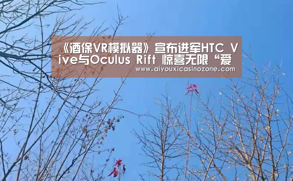 爱游戏视讯
