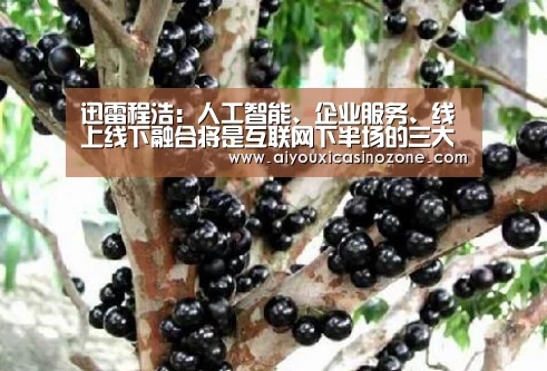 爱游戏登录