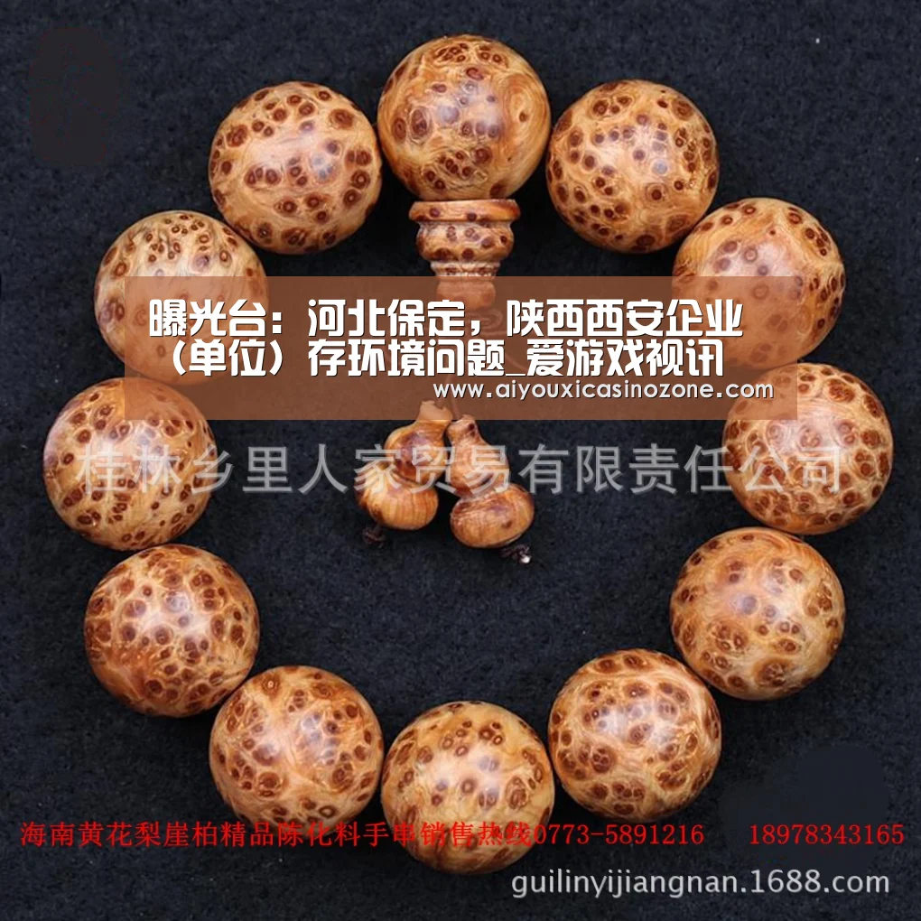 爱游戏视讯