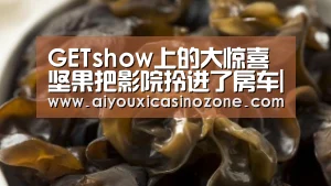 GETshow上的大惊喜坚果把影院拎进了房车|爱游戏赛事(图1) 爱游戏赛事
