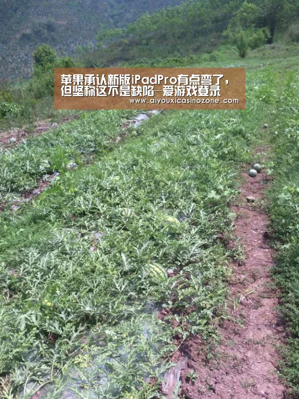 苹果承认新版iPadPro有点弯了,但坚称这不是缺陷-爱游戏登录(图2) 爱游戏下载