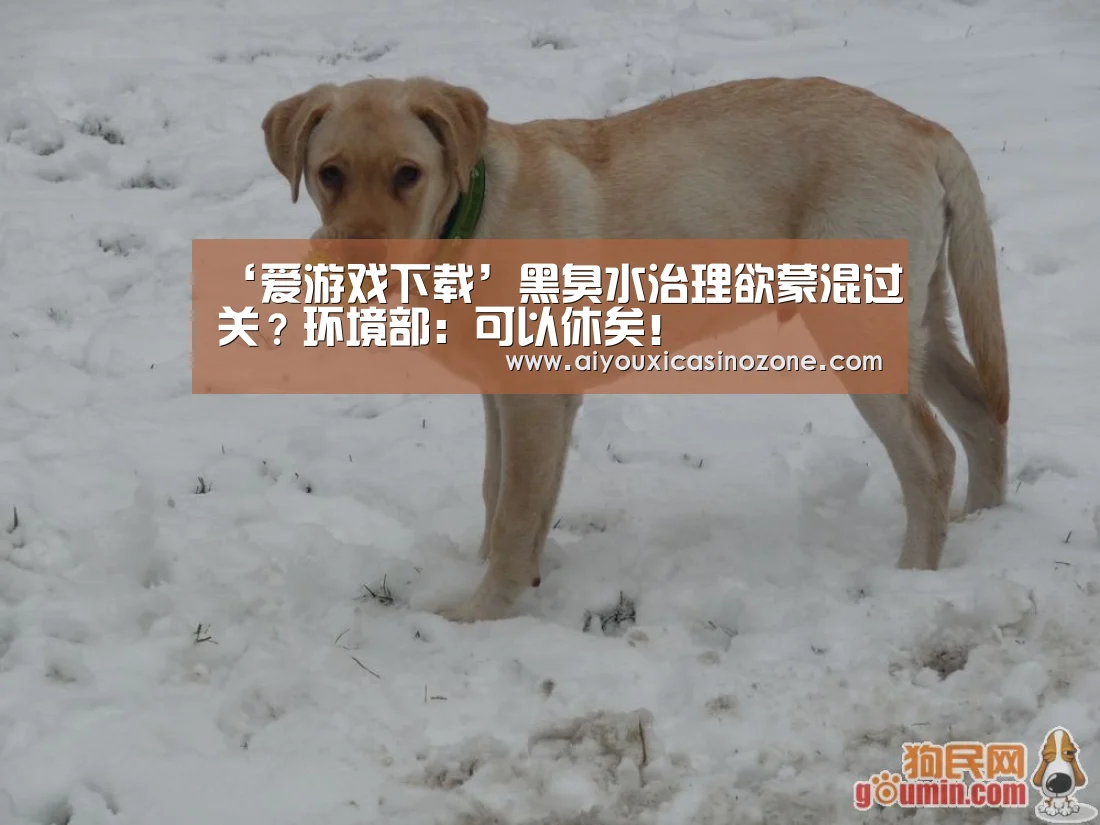 ‘爱游戏下载’黑臭水治理欲蒙混过关?环境部:可以休矣!(图1) 爱游戏赛事